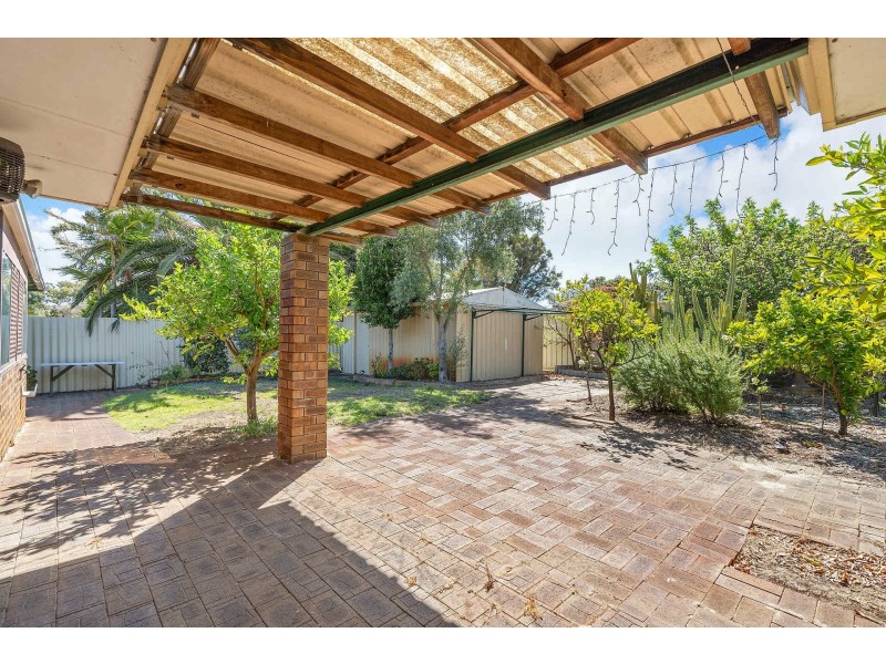 43 Dotterel Way, Yangebup WA 6164