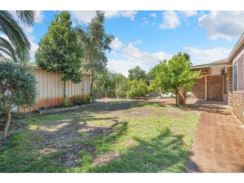 43 Dotterel Way, Yangebup WA 6164