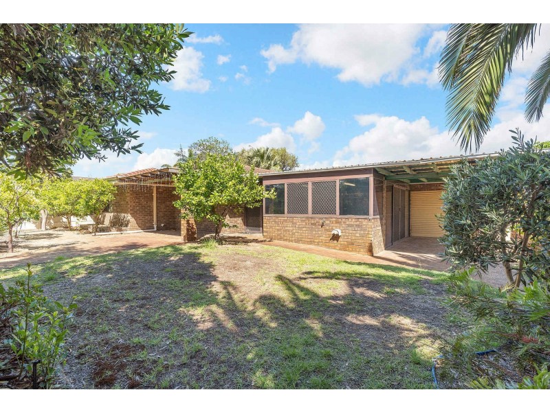 43 Dotterel Way, Yangebup WA 6164