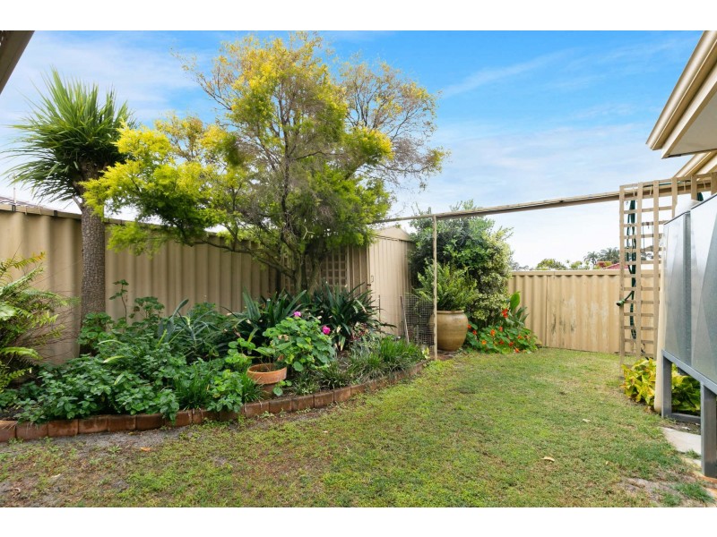 Unit 6/63 Corbel Street, Shelley WA 6148