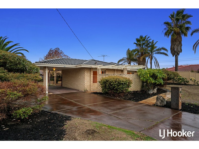 5 Rostrata Avenue, Willetton WA 6155