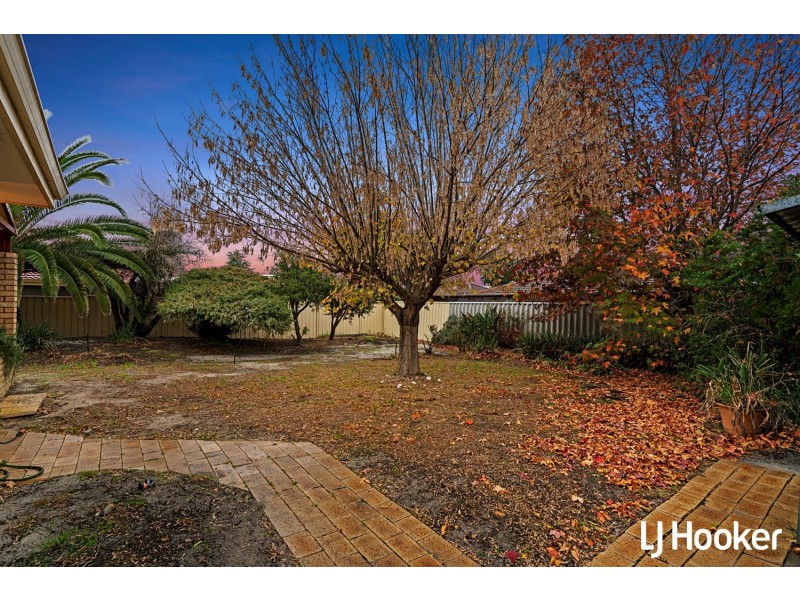 5 Rostrata Avenue, Willetton WA 6155