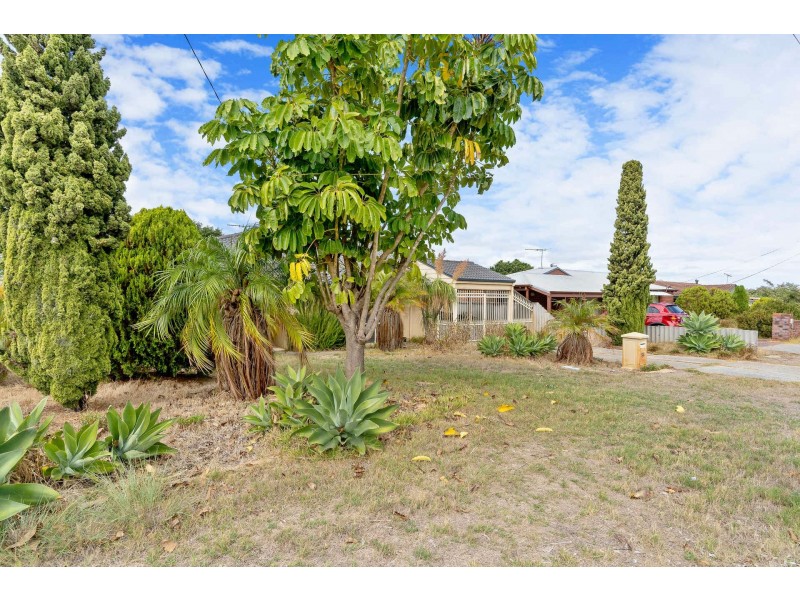54 Elderberry Drive, South Lake WA 6164