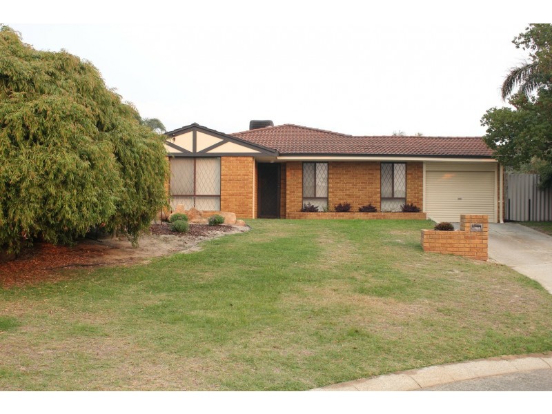 15 Larkspur Cross, Yangebup WA 6164
