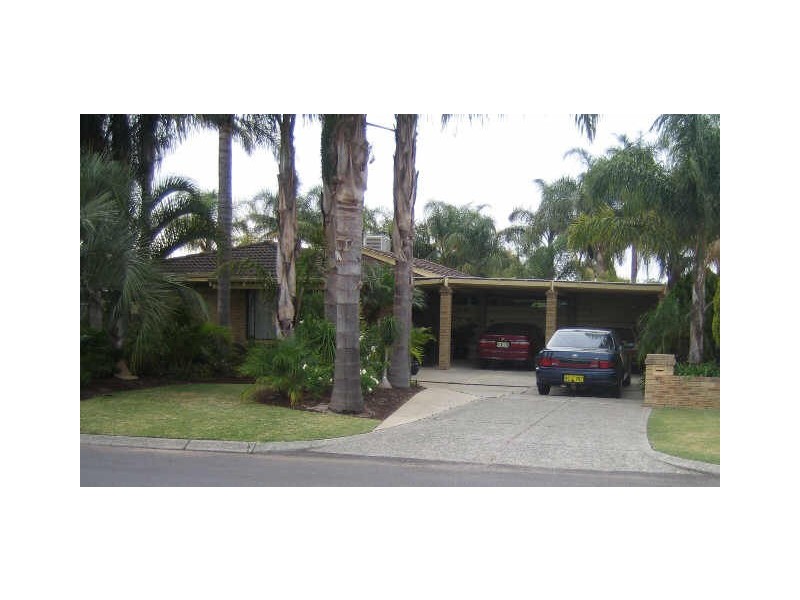 41 Narcissus, Parkwood WA 6147