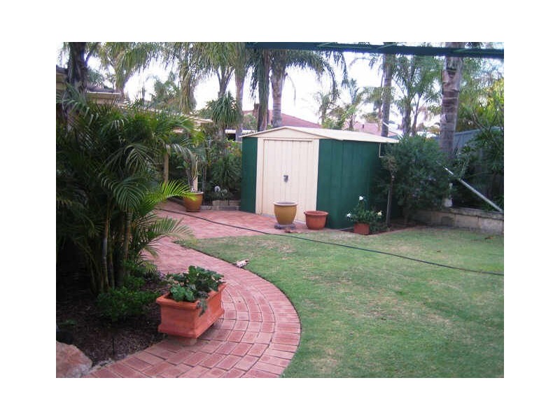 41 Narcissus, Parkwood WA 6147