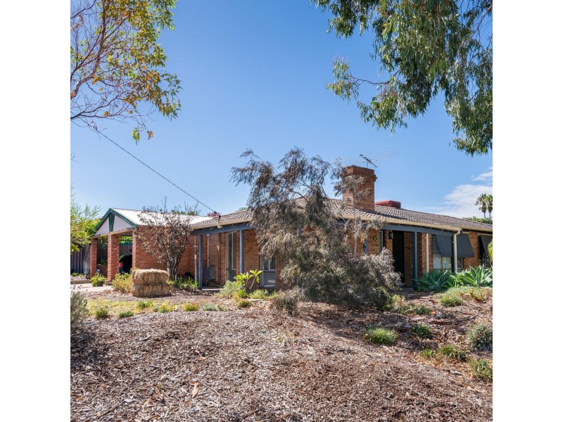 6 Warner Drive, Padbury WA 6025