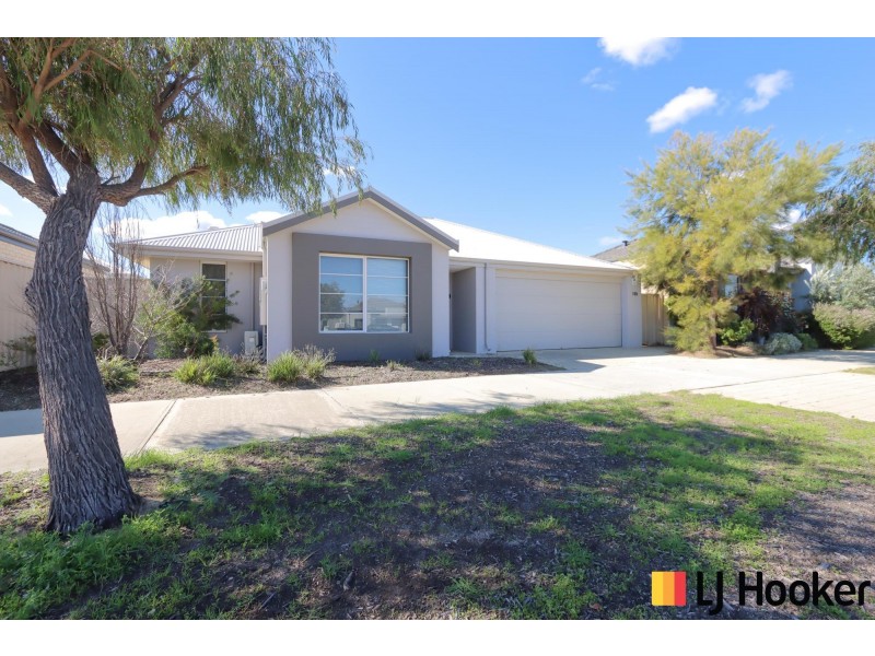115 Shepperton Drive, Butler WA 6036