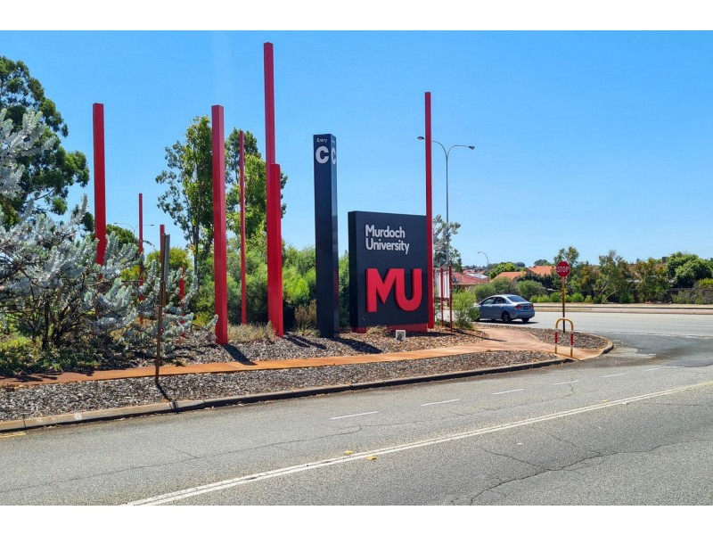 11 Botanical Place, Kardinya WA 6163