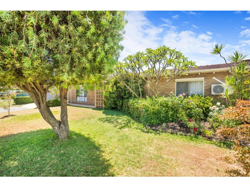 16 Tudor Avenue, Shelley WA 6148