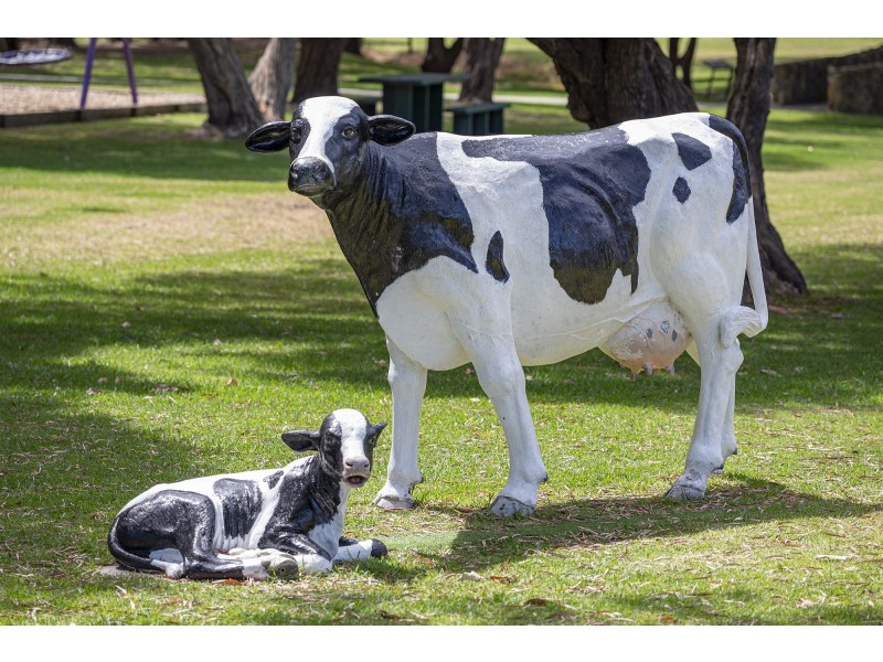 9 Surf Break Drive, Cowaramup WA 6284