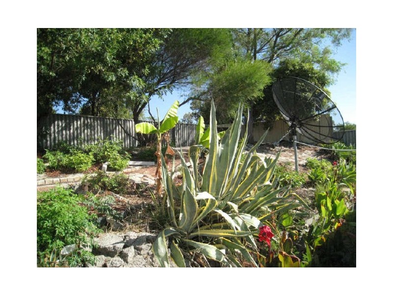 103B Apsley Road, Willetton WA 6155