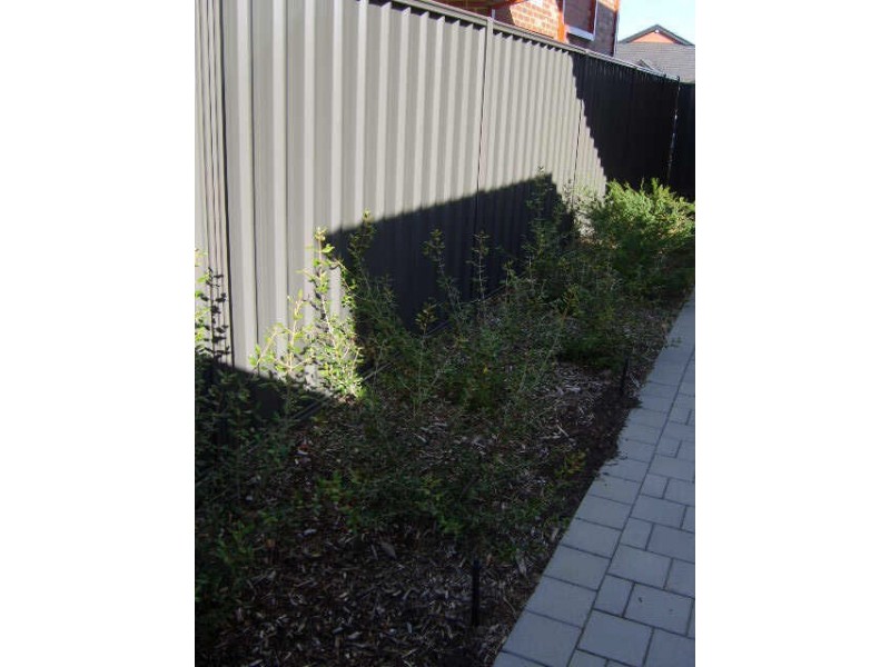 6/18 Deanmore Bend, Hammond Park WA 6164