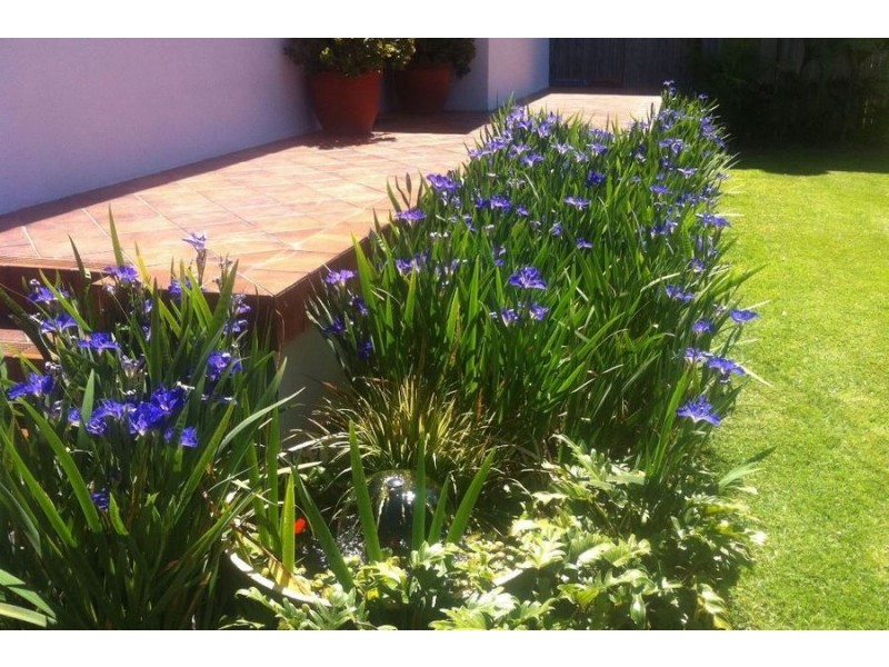 32 Elaine Avenue, Avalon Beach NSW 2107