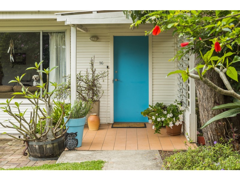 16 Patrick Street, Avalon Beach NSW 2107