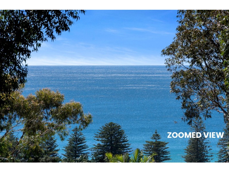 51 Grandview Drive, Newport NSW 2106