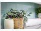7/39 Iluka Road, Palm Beach NSW 2108