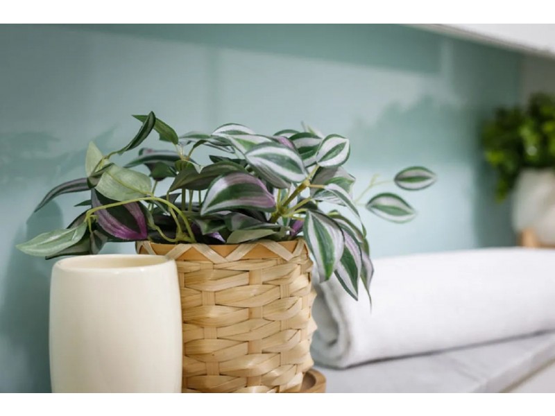 7/39 Iluka Road, Palm Beach NSW 2108