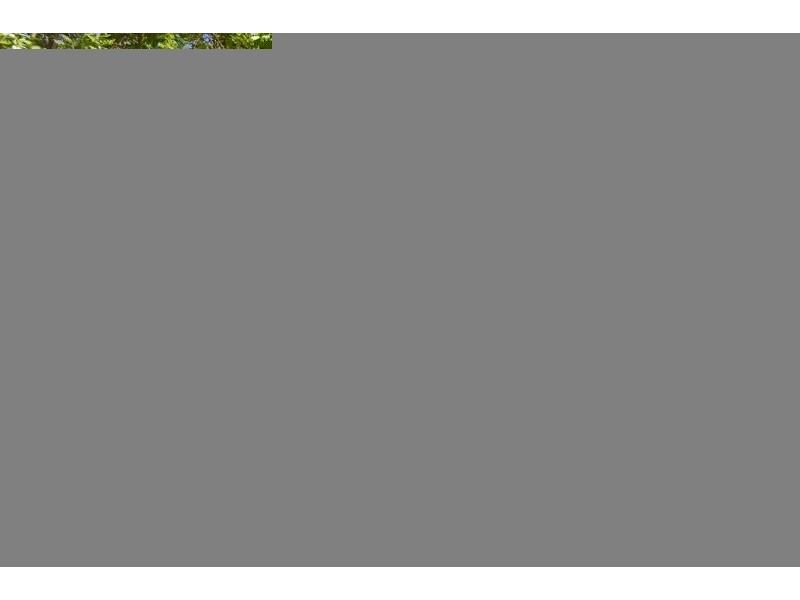 241A Hudson Parade, Clareville NSW 2107