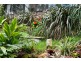 70a Chisholm Avenue, Avalon Beach NSW 2107