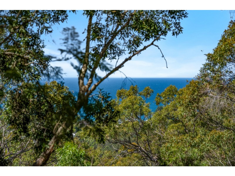 25 Palmgrove Road, Avalon Beach NSW 2107