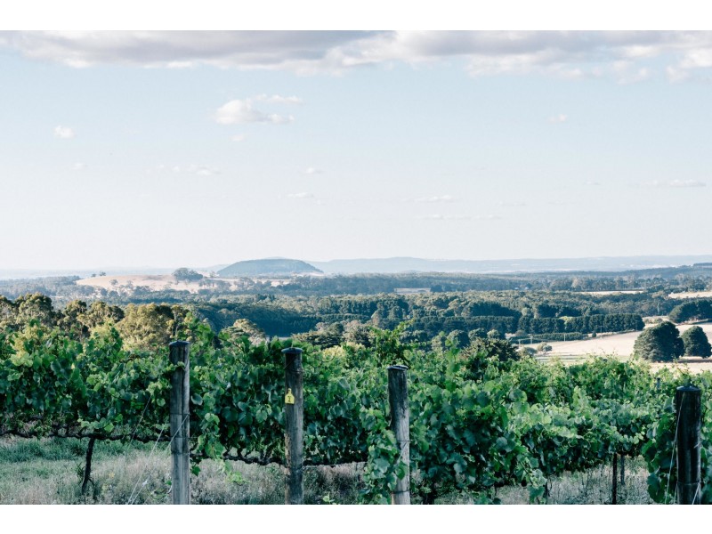 30 Roddas Lane, Musk VIC 3461