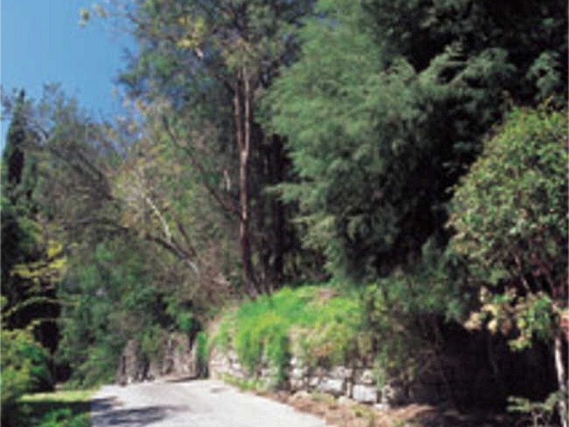 320B Hudson Parade, Clareville NSW 2107