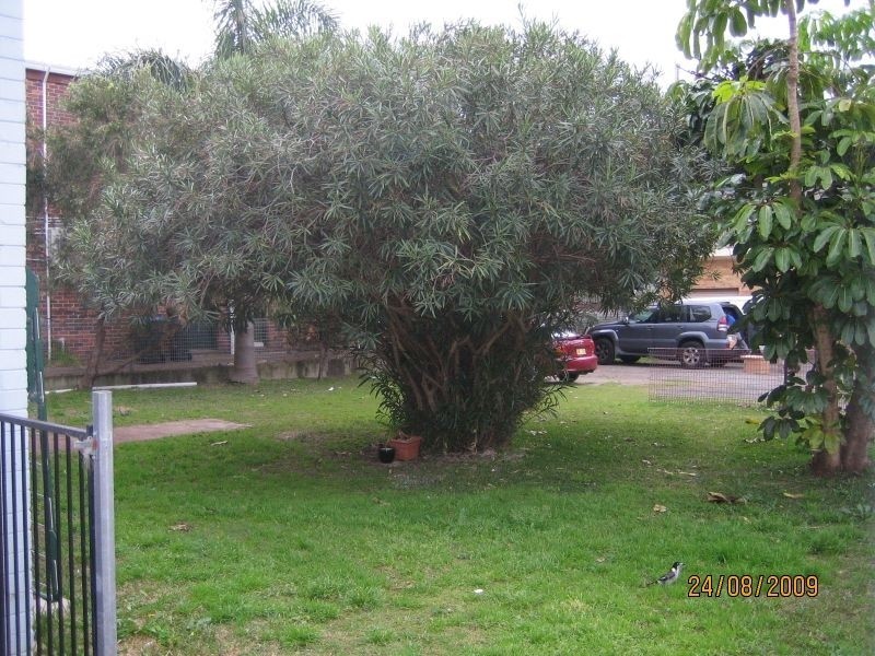 1/32 AVALON PARADE, Avalon Beach NSW 2107