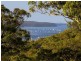 38 Chisholm Avenue, Avalon NSW 2107