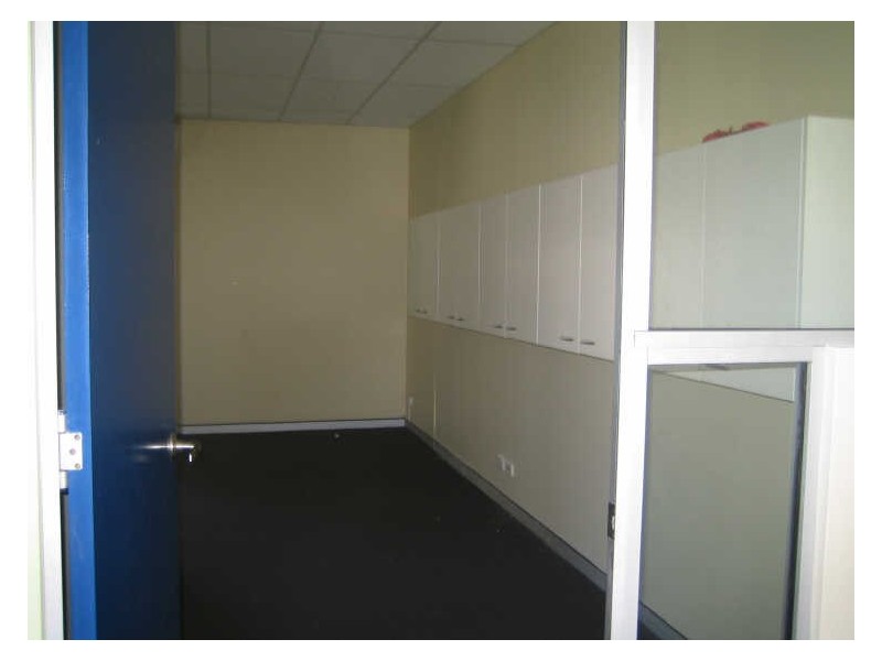 17 Robertson Road, Newport NSW 2106