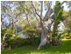 51 Dress Circle Road, Avalon NSW 2107