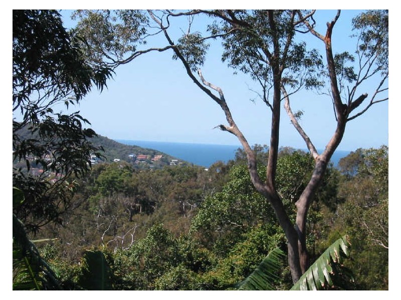 36 Riviera Avenue, Avalon Beach NSW 2107