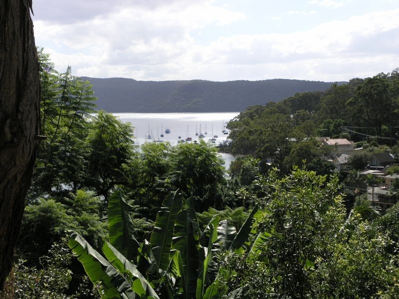 29 Elvina Avenue, Newport NSW 2106