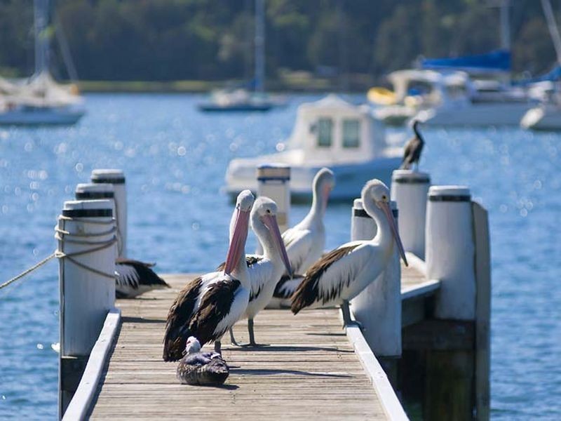 62 Cabarita Road, Avalon NSW 2107