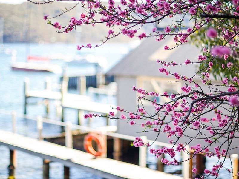 4 Paradise Avenue, Clareville NSW 2107