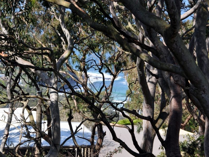 34 The Outlook, Bilgola NSW 2107