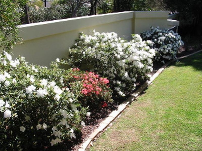 24 Minkara Road, Bayview NSW 2104