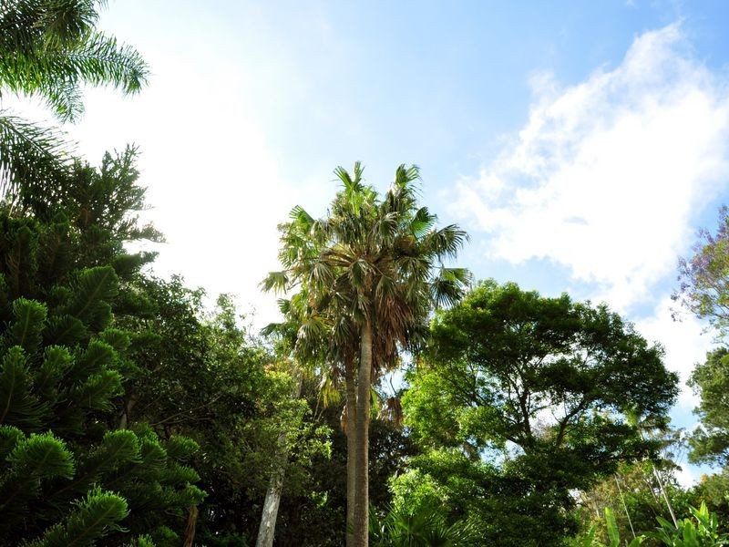 26 Elvina Avenue, Newport NSW 2106