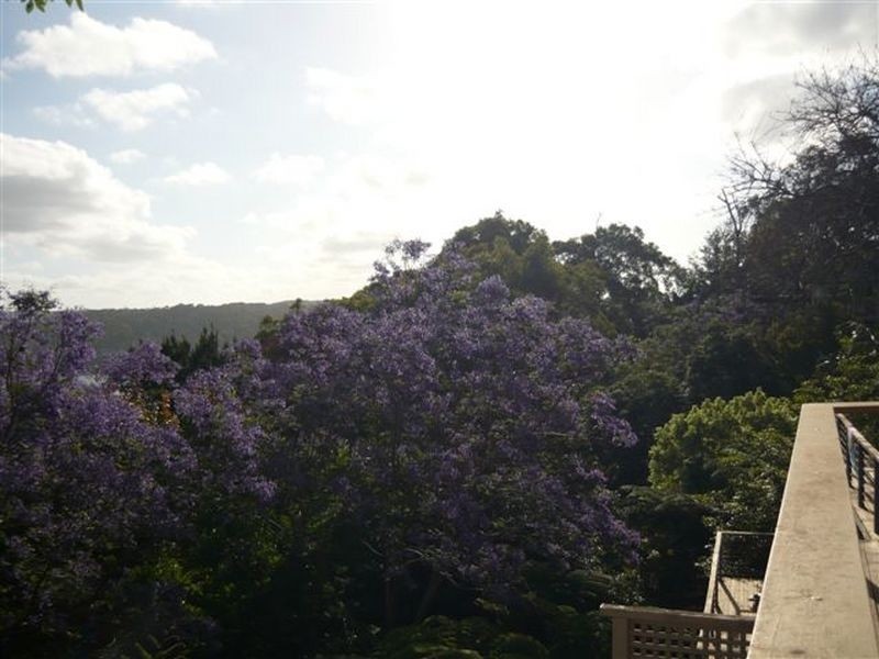 45 Wallamatta Rd, Newport NSW 2106