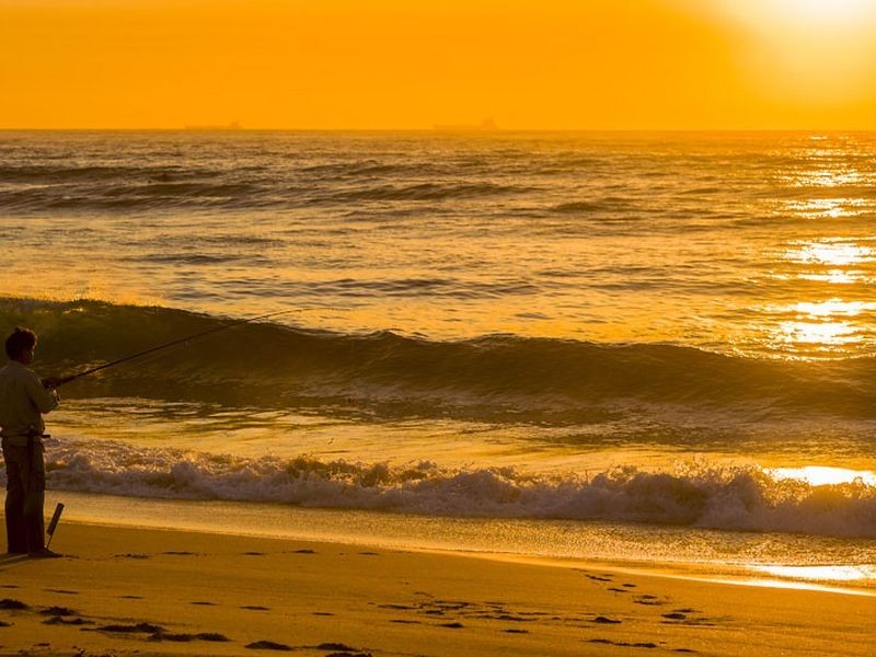 49 Bungan Head Road, Newport NSW 2106