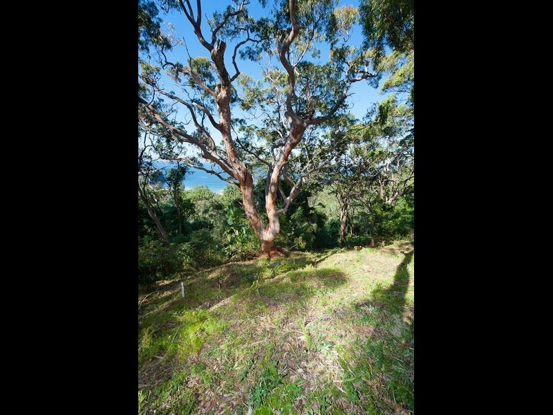 7/5A Wollombi Road, Bilgola NSW 2107