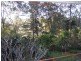 2a Palmgrove Rd, Avalon NSW 2107