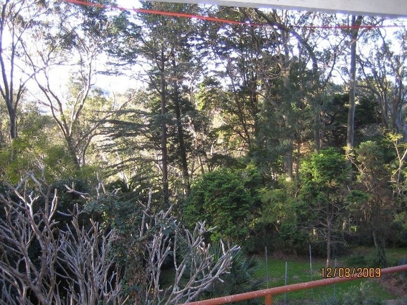 2a Palmgrove Rd, Avalon NSW 2107