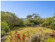 113 Bynya Road, Palm Beach NSW 2108