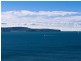 326 Whale Beach Road, Palm Beach NSW 2108