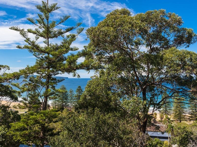 3 Livistona Lane, Palm Beach NSW 2108