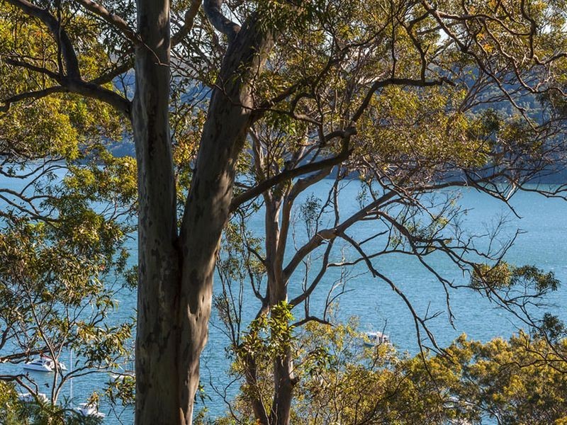 23 Hilltop Road, Avalon NSW 2107