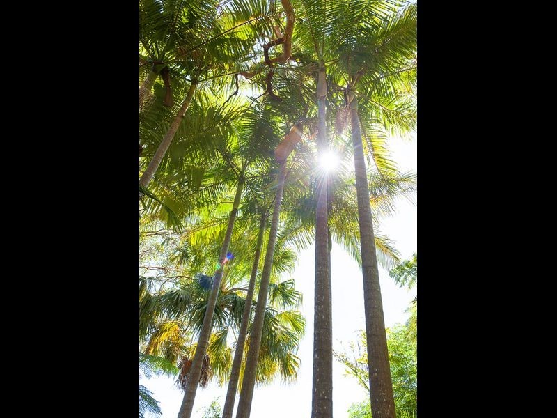 18 The Circle, Bilgola NSW 2107