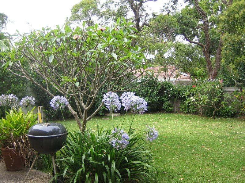 13 Patrick St, Avalon Beach NSW 2107