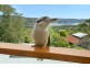 72 Binburra Avenue, Avalon Beach NSW 2107